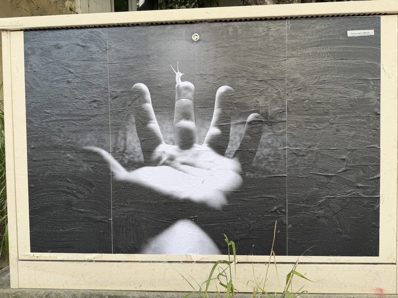 Edition : qui détient la légitimité à refuser une orientation idéologique ?