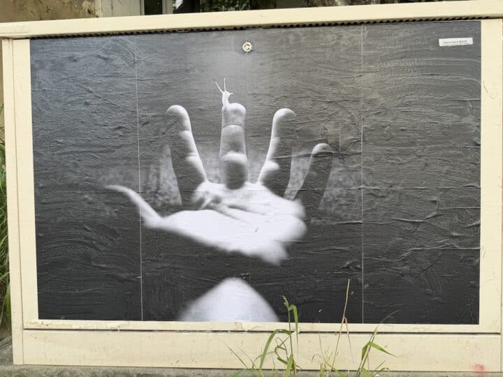 Edition : qui détient la légitimité à refuser une orientation idéologique ?